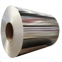 ASTM 310S ryðfríu stáli spólu